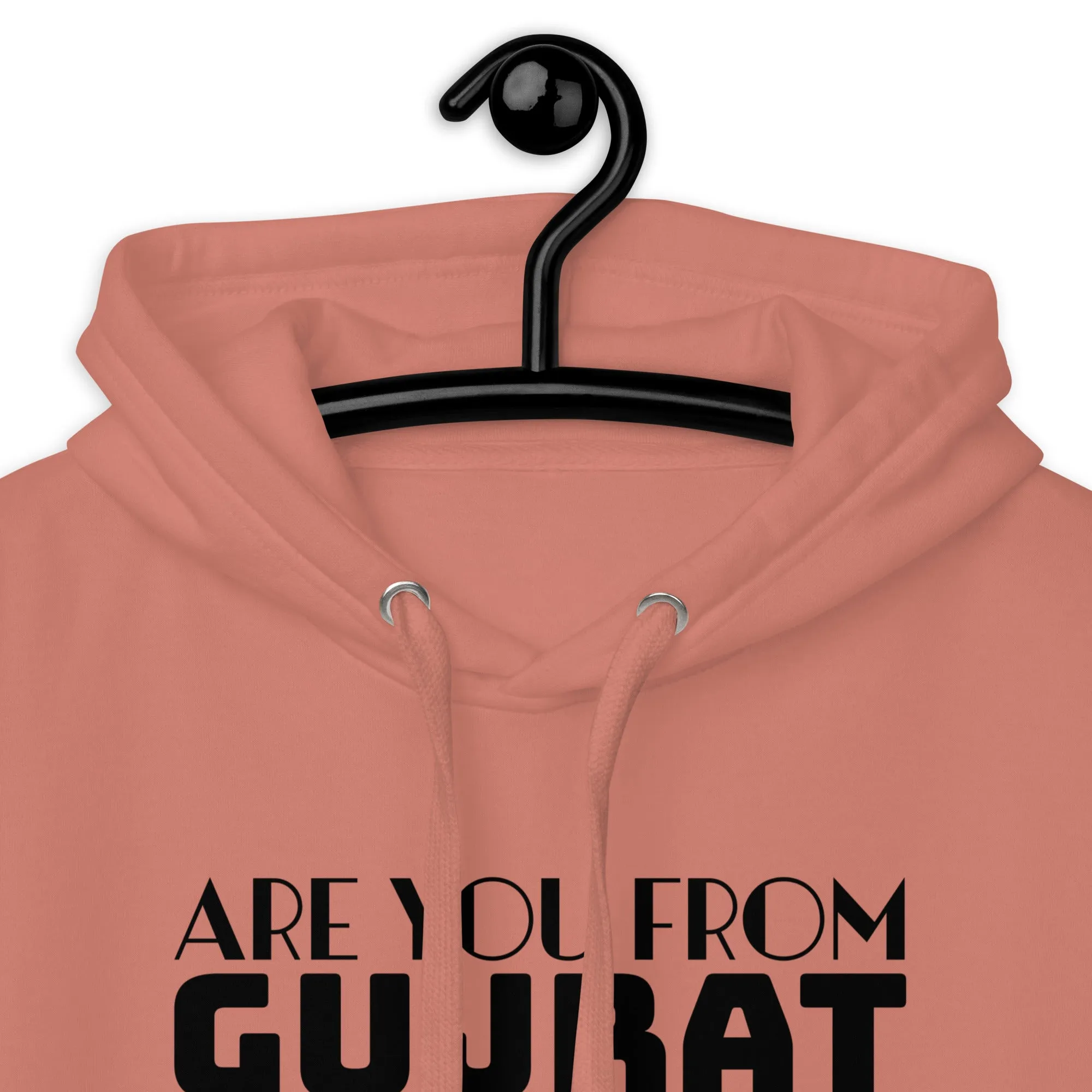 Are you from Gujrat Unisex Hoodie