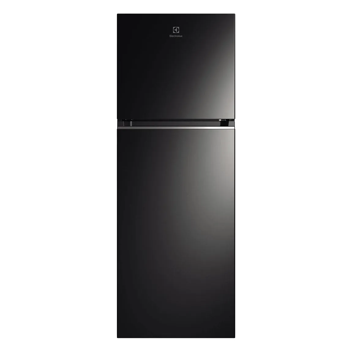 ETB3400K-H 310L 2-DOOR FRIDGE