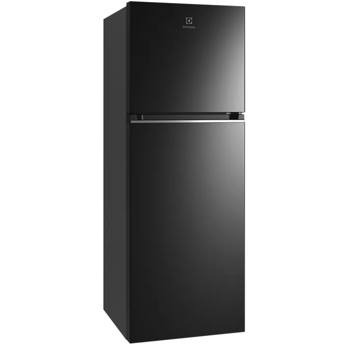 ETB3400K-H 310L 2-DOOR FRIDGE